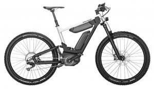 Riese & Müller / Modell: Delite mountain